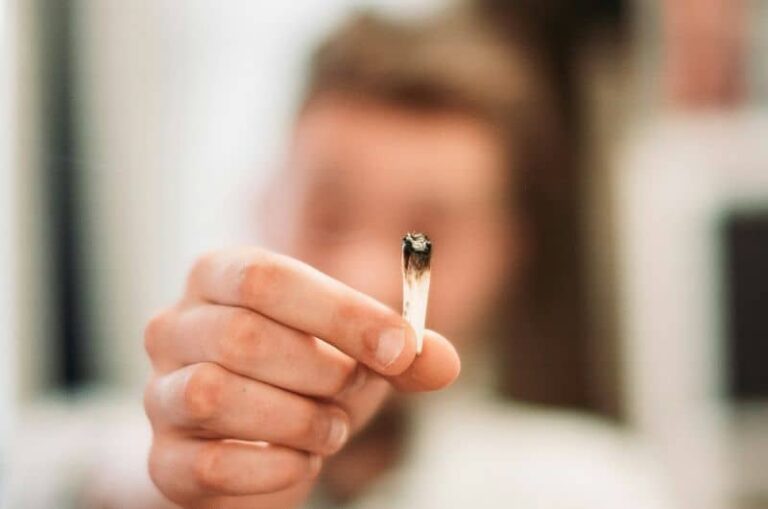 if drugs are found in a house who is responsible