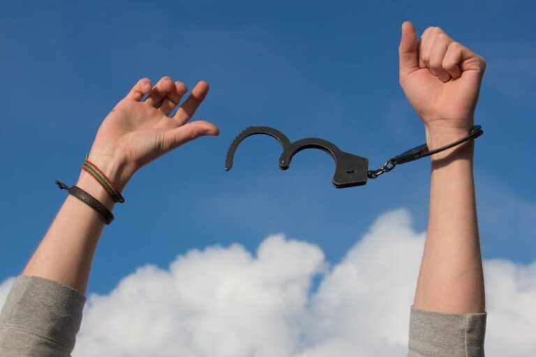 what does expungement do