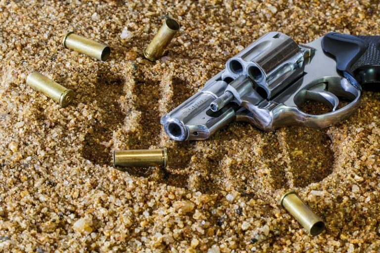 negligent discharge of firearm in California