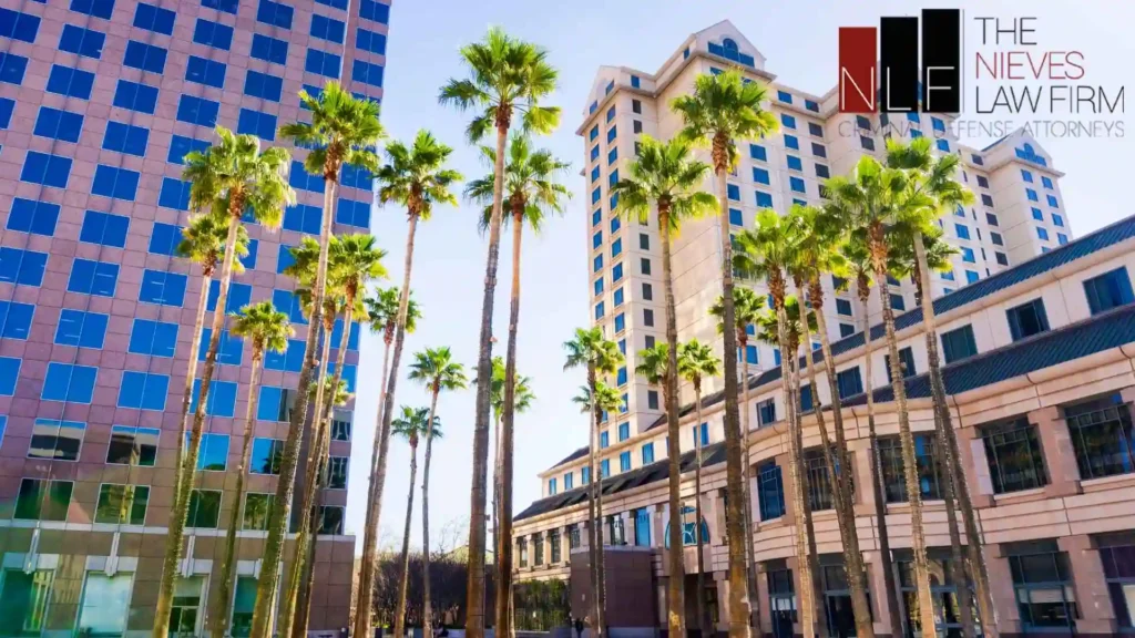 Lawyer in San Jose, CA, nieves lawfirm